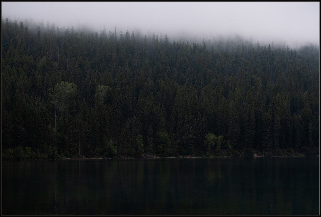 Montana Forest + Lake