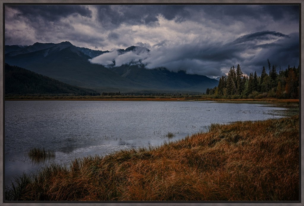 Alberta Wilderness Scene