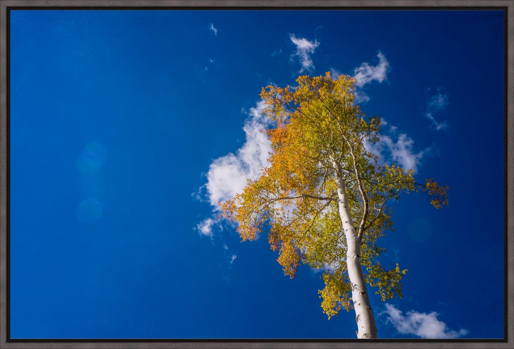 Aspen Cloud