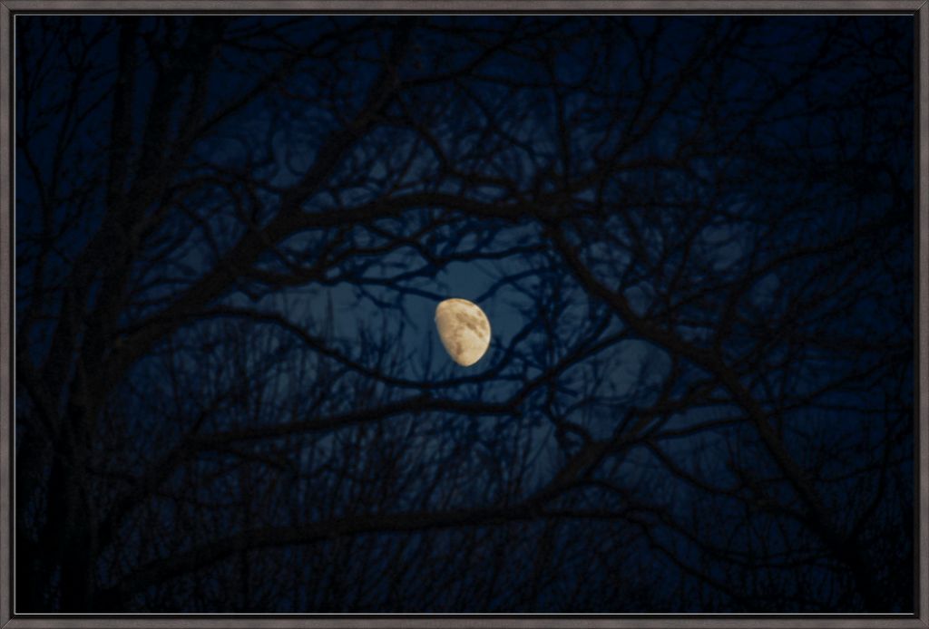 Waxing Gibbous