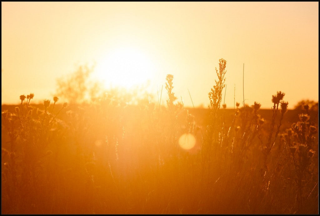 South Plains Sunset