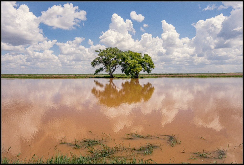 Muddy Reflections