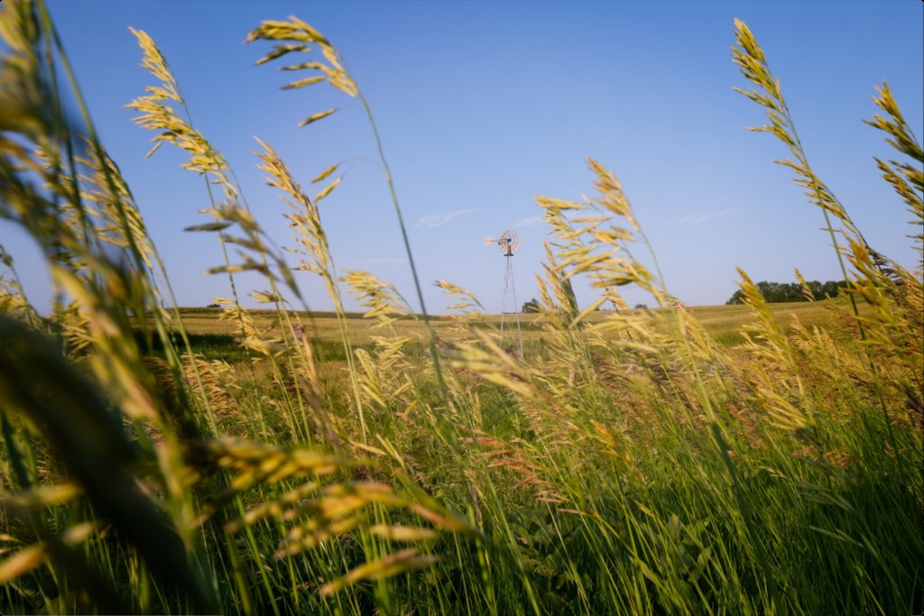 Historic Windmill and Prairie Grass