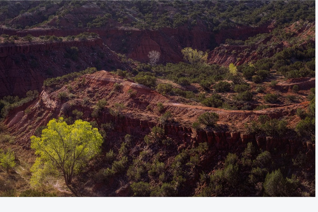 Canyon Spring