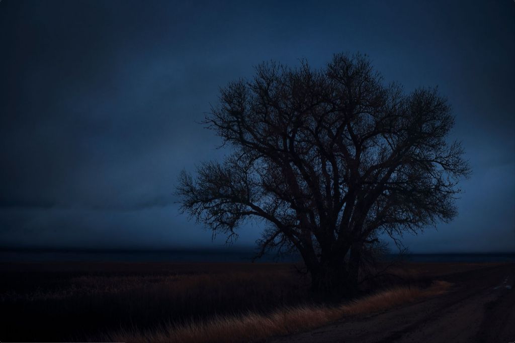 Rural Evening