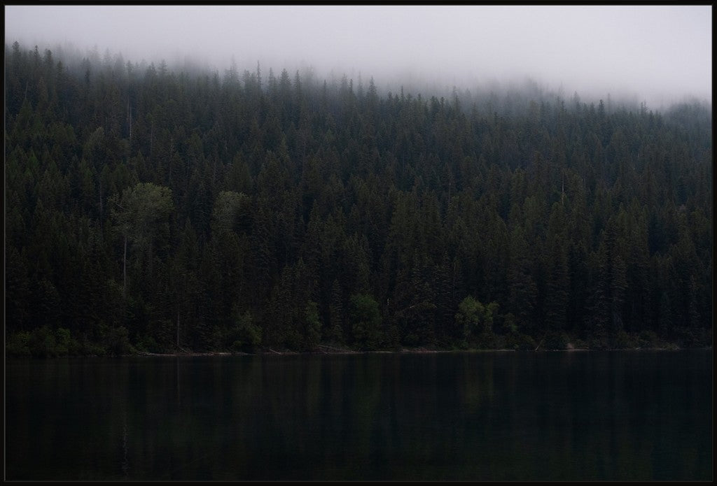 Montana Forest + Lake