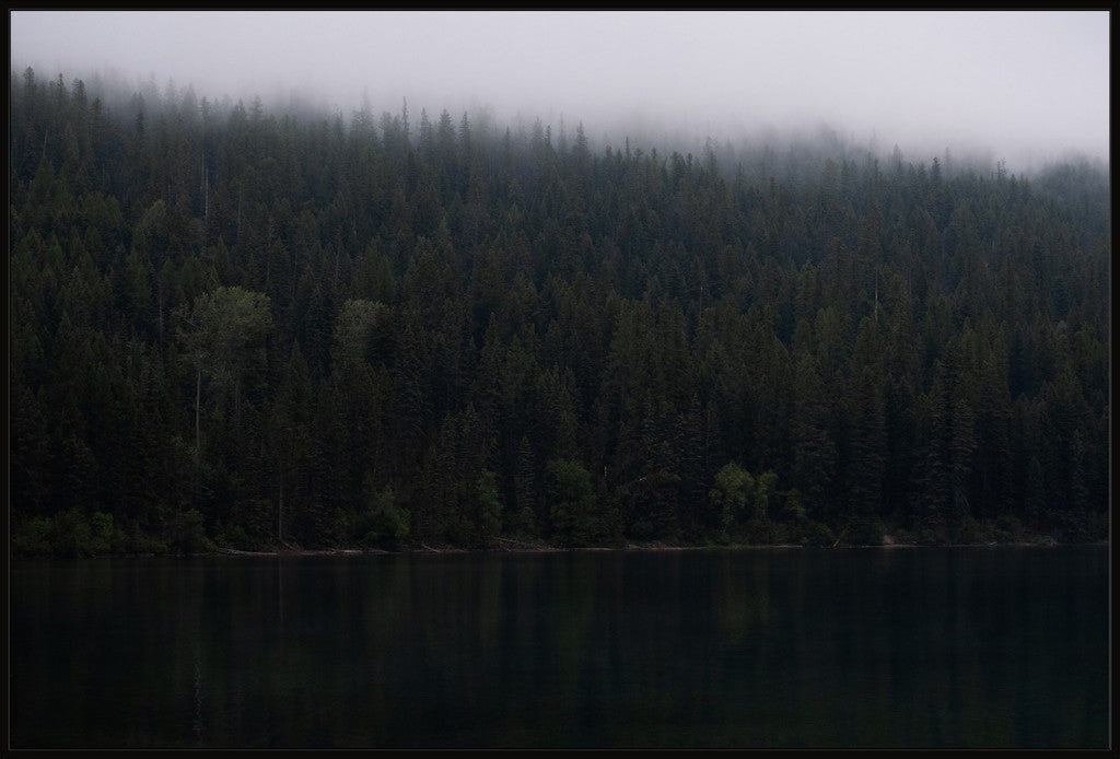 Montana Forest + Lake