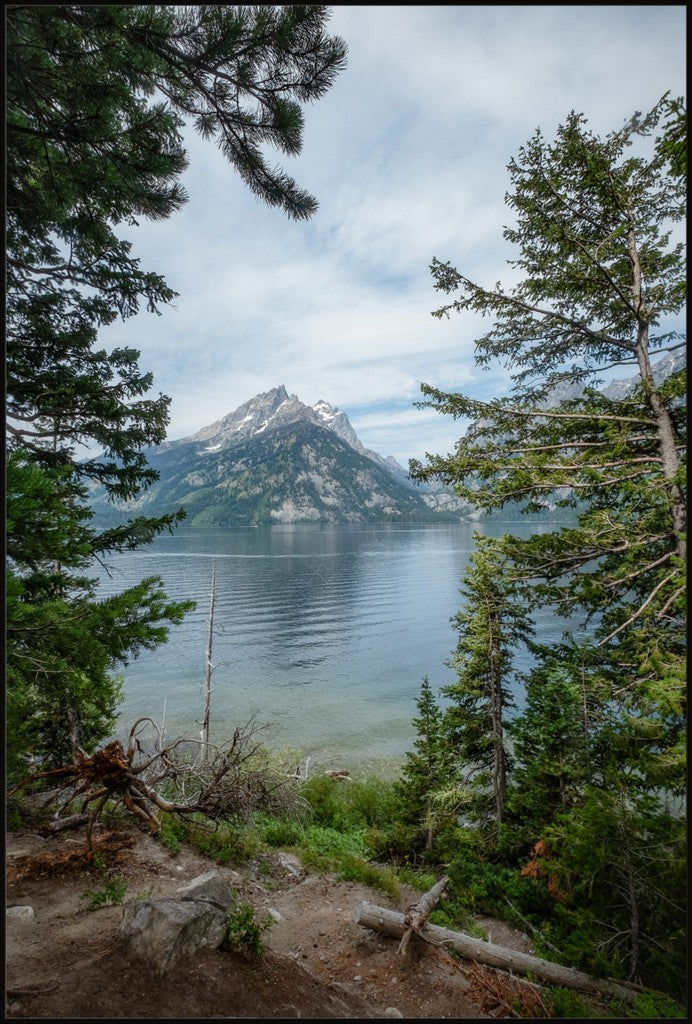 Montana Mountain View