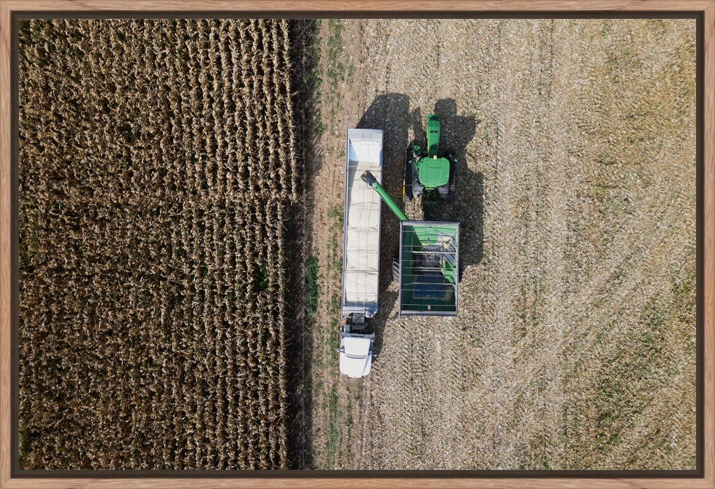 Aerial Corn Harvest IV