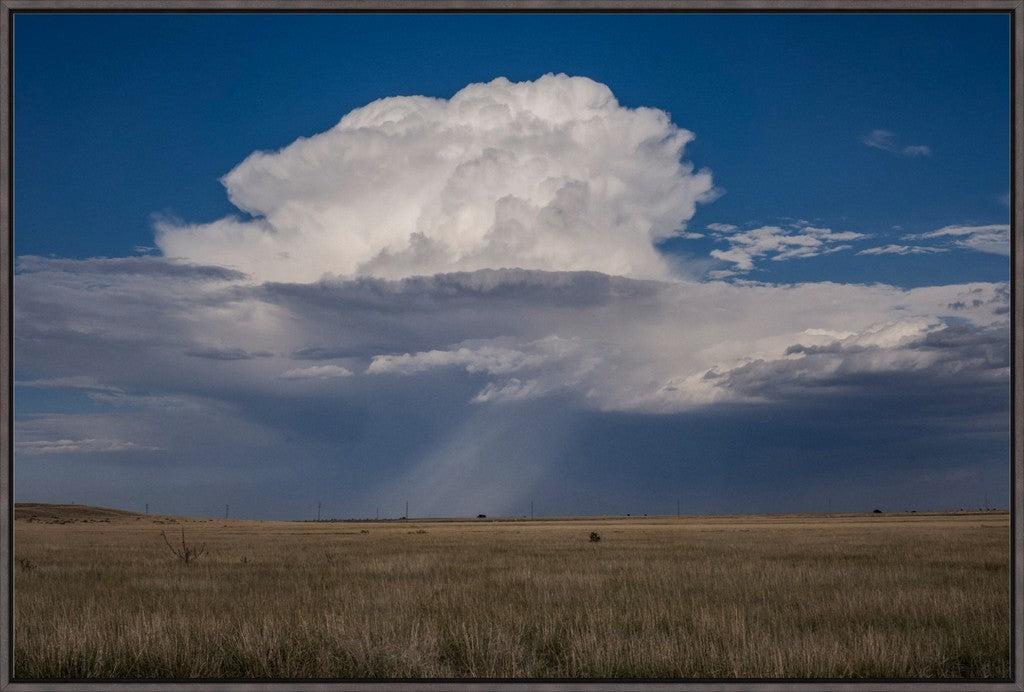 Rain on the South Plains