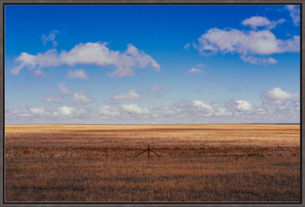 Colorado Plains