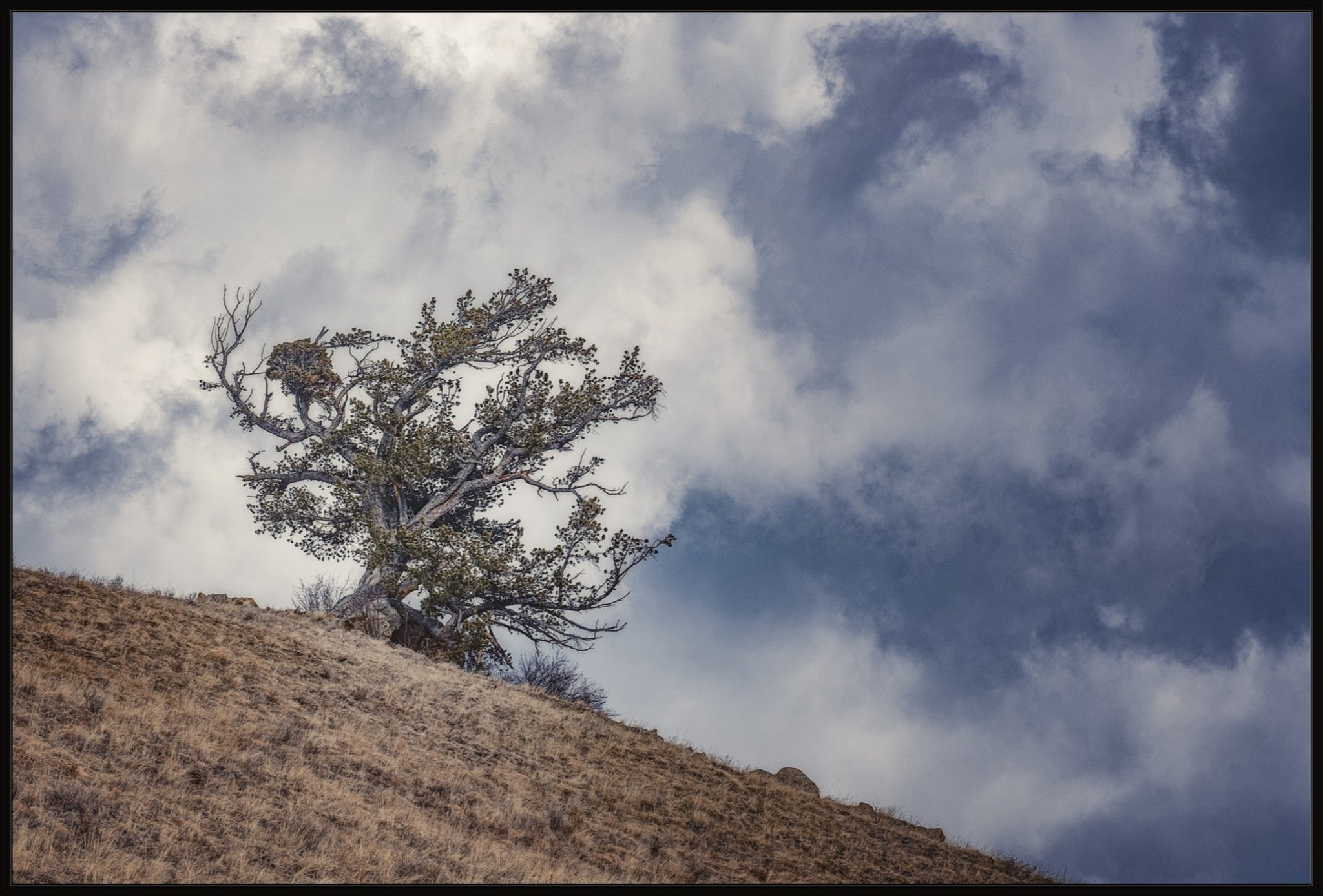 Sky and Land