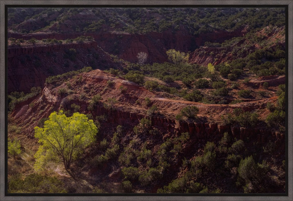 Canyon Spring