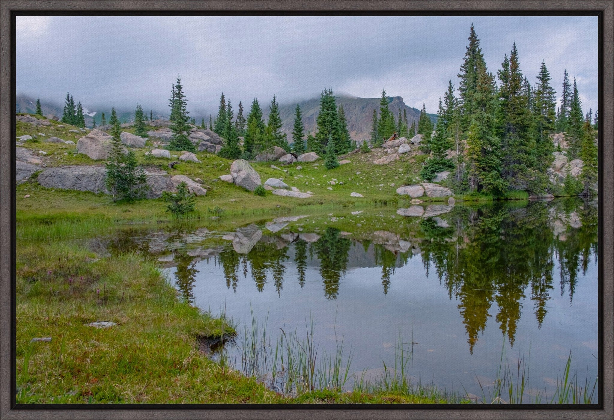 Trail Reflections