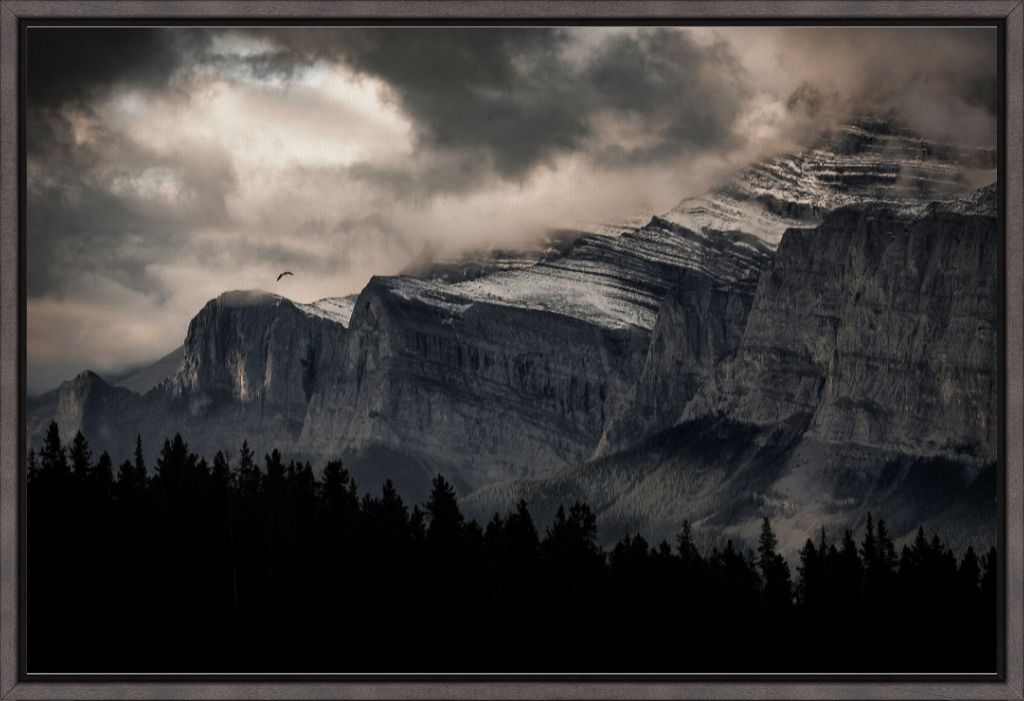 Mountain Flight