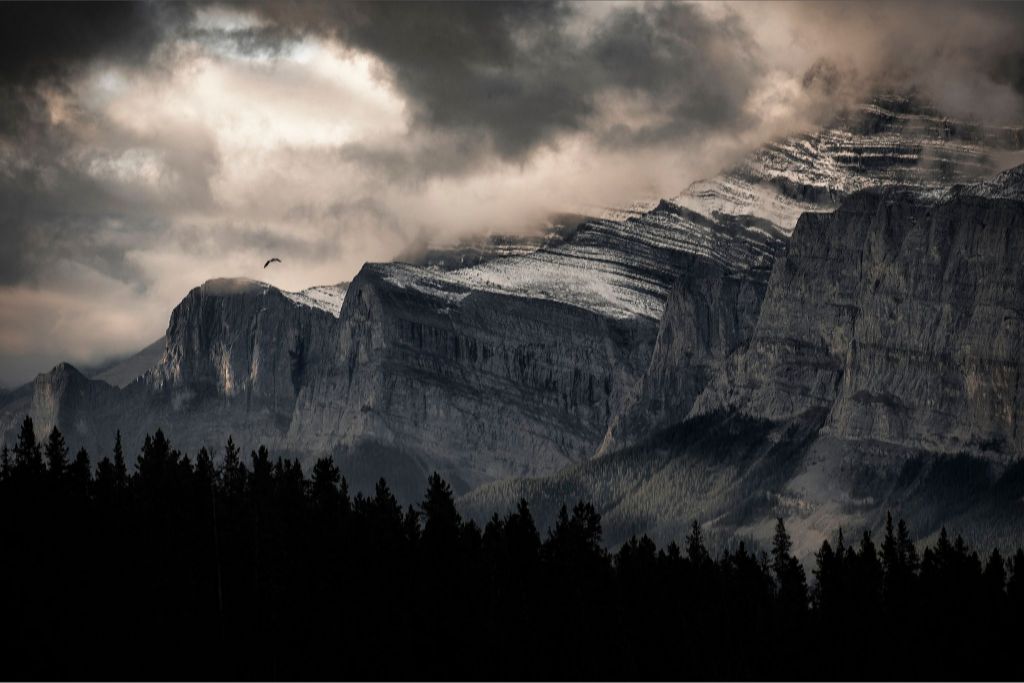 Mountain Flight