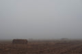 West Texas Winter Fog - 5