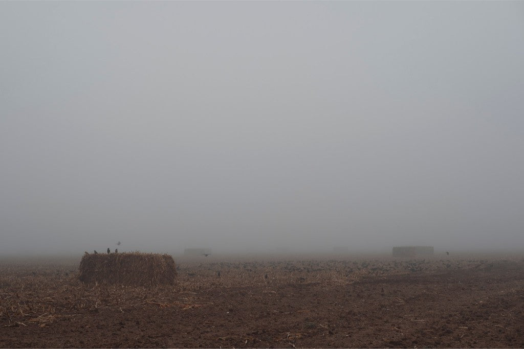 West Texas Winter Fog - 5
