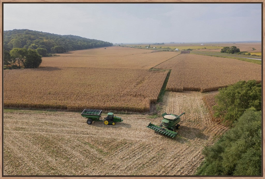 Aerial Corn Harvest I