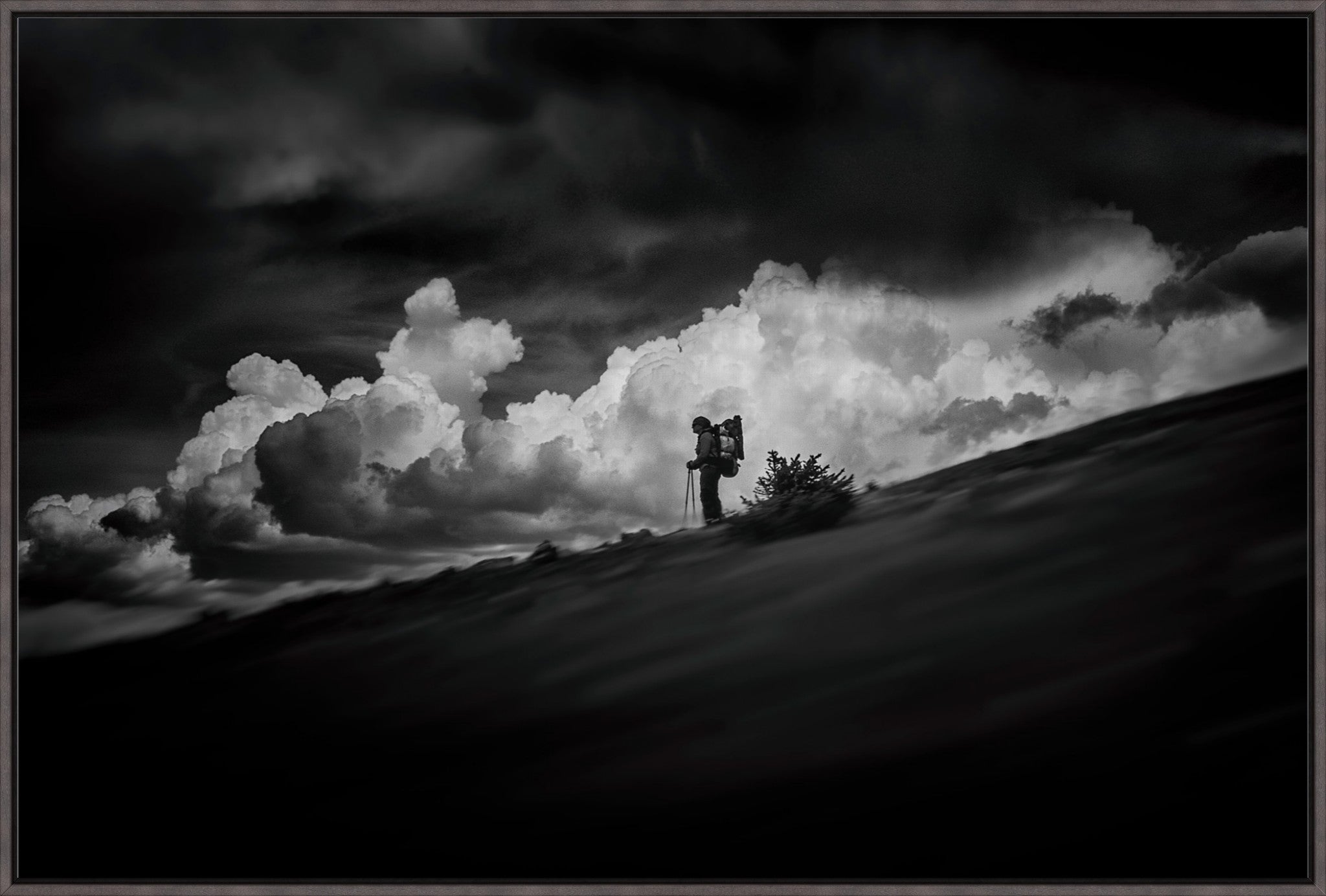 The Hiker