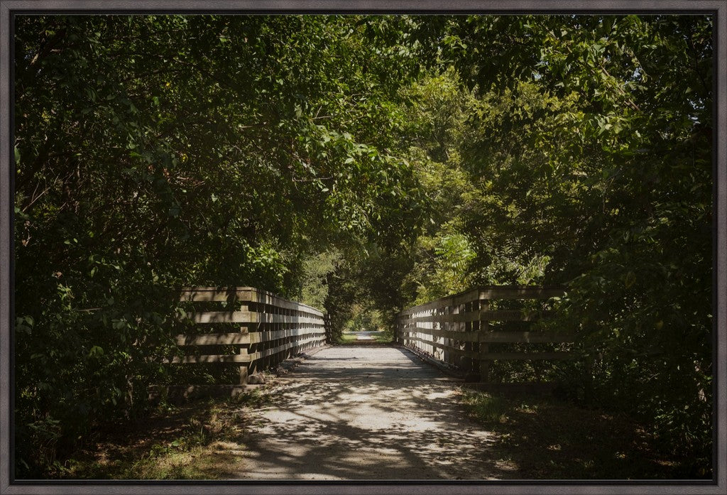 Rural Bike Path I