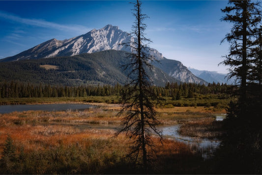 Alberta Wilderness Scene II