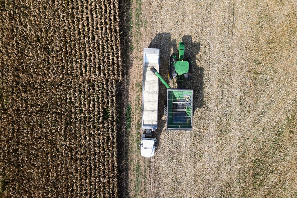 Aerial Corn Harvest IV