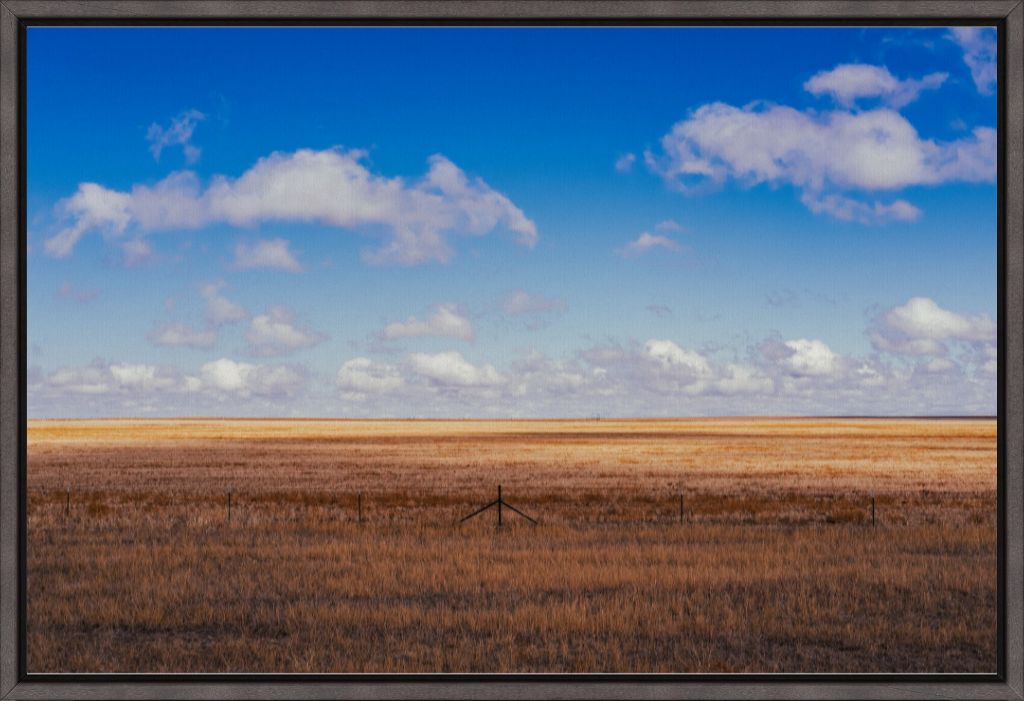 Colorado Plains
