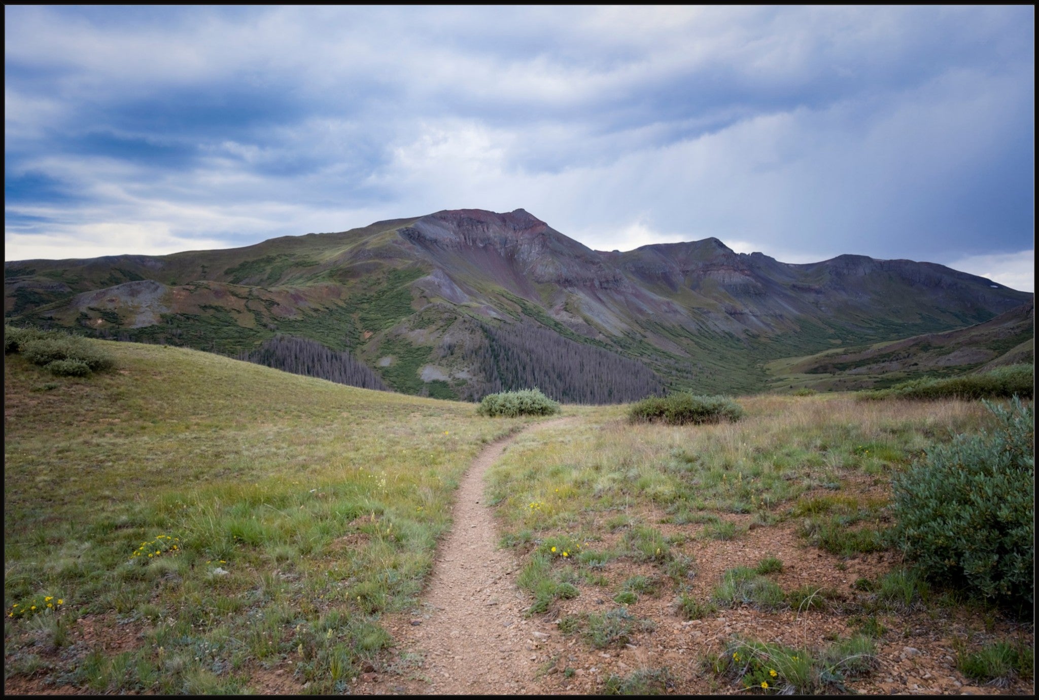 Into the San Juans