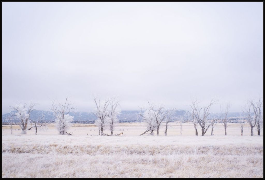 Frozen Enchantment III