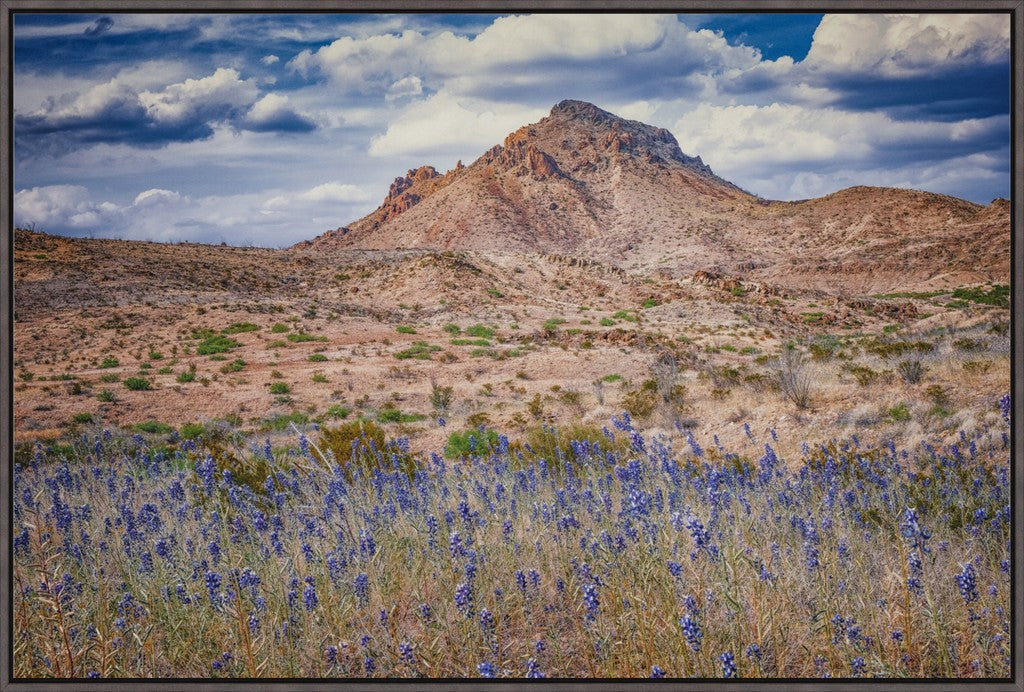 Bluebonnet Sky