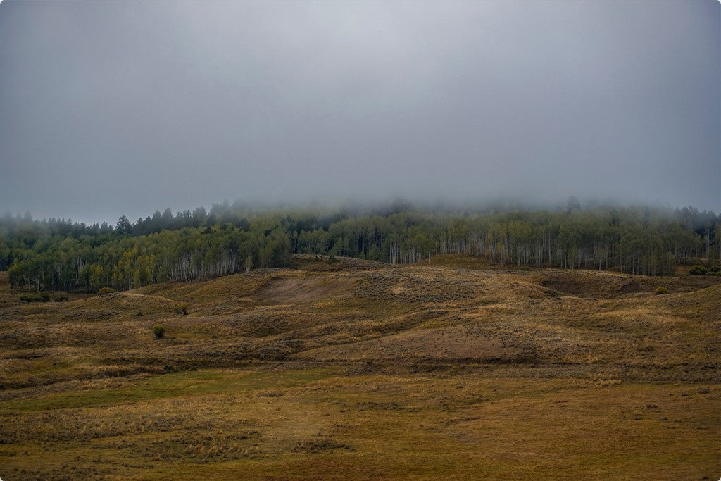 Low Clouds