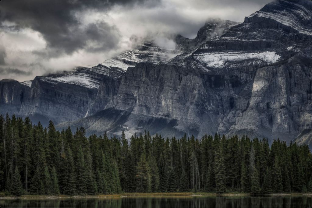 Green Forest and Mountain