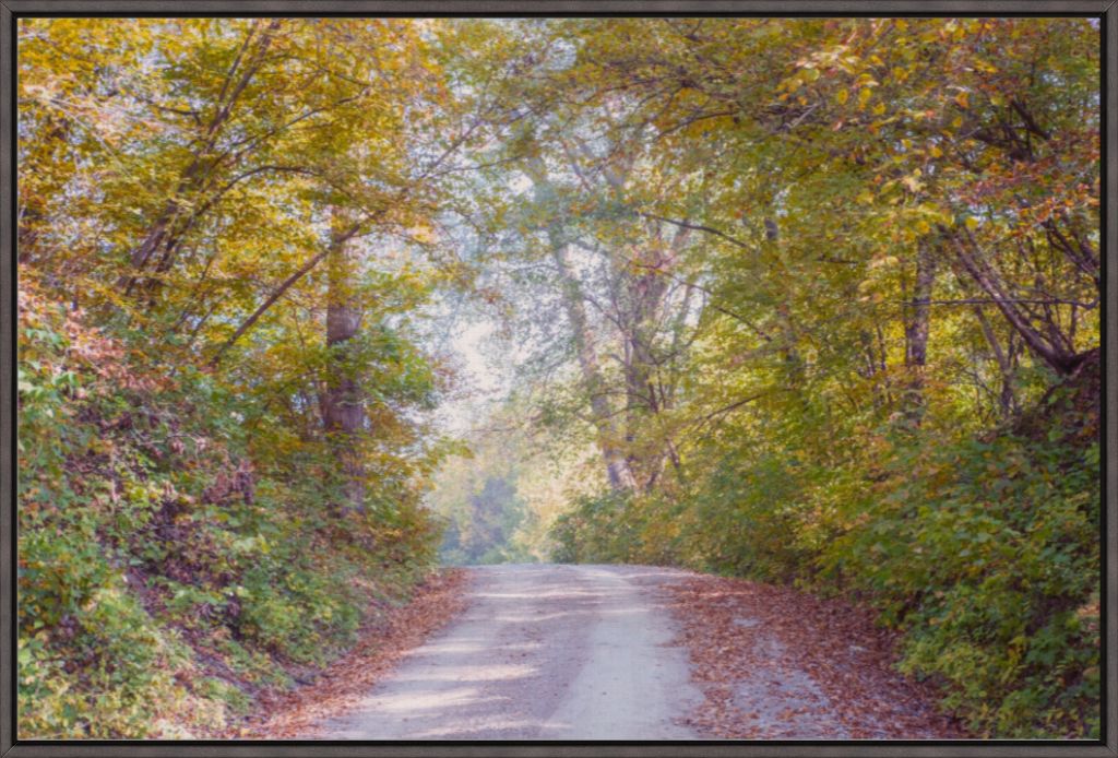 Midwest Fall Colors