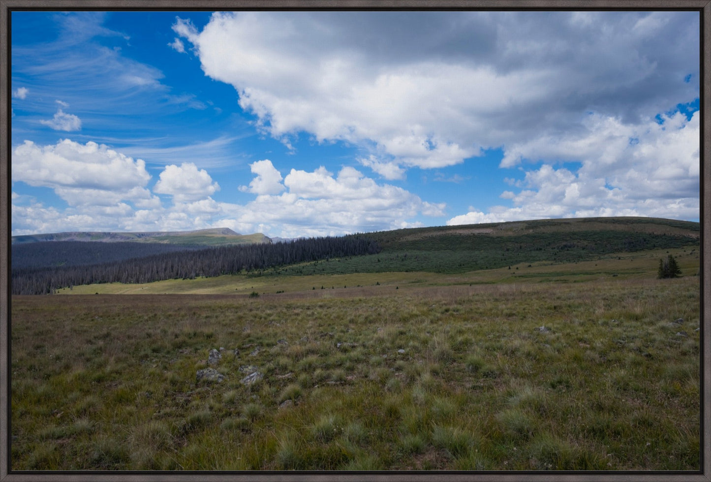 Soft Green Meadow