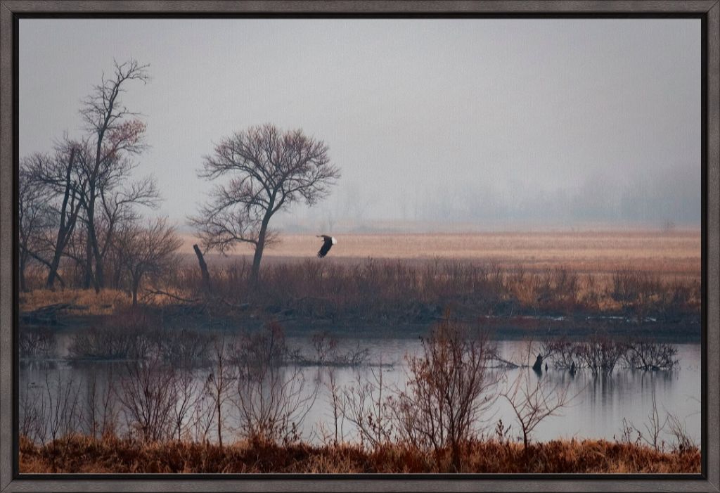 Nebraska Wetlands