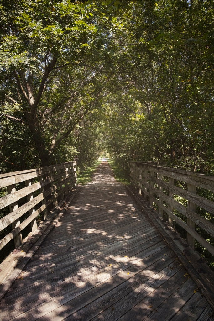 Rural Bike Path II