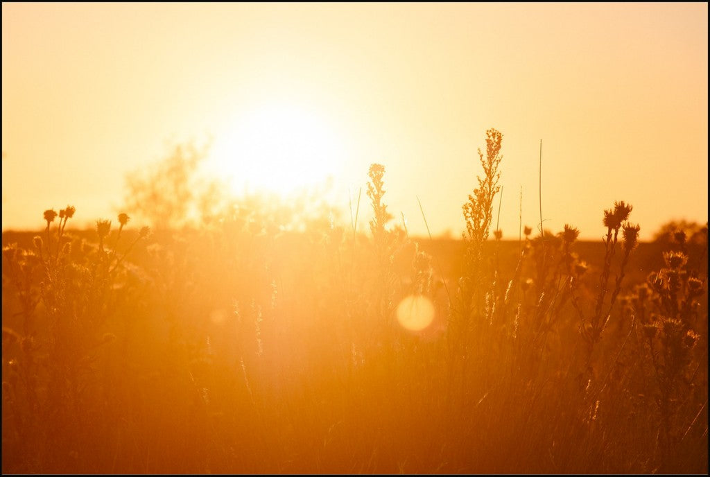 South Plains Sunset