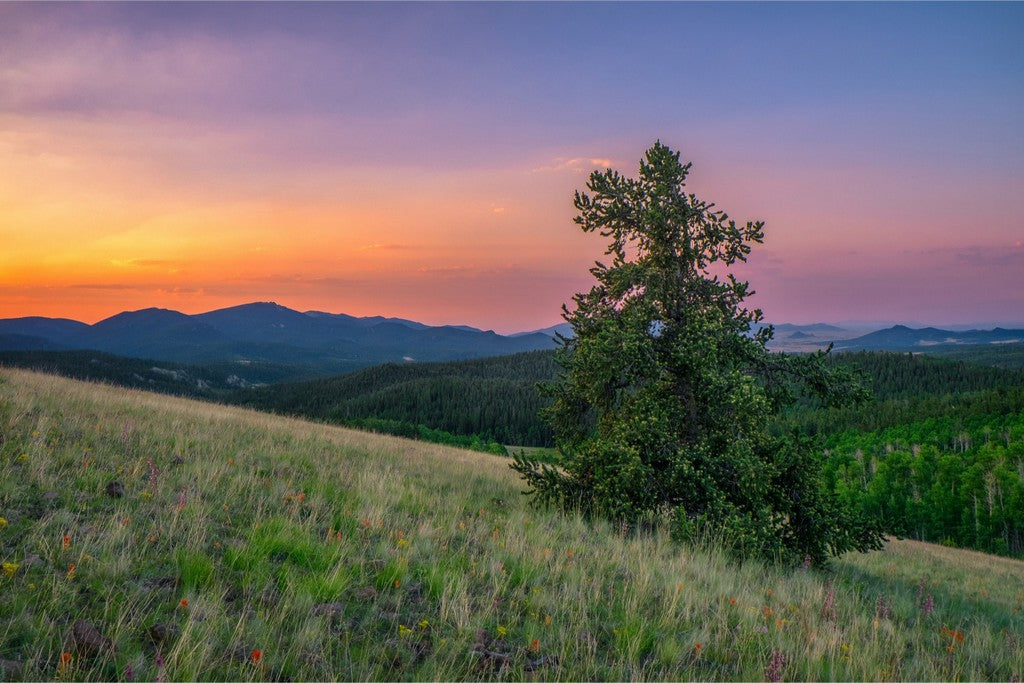 Tenmile Sunrise