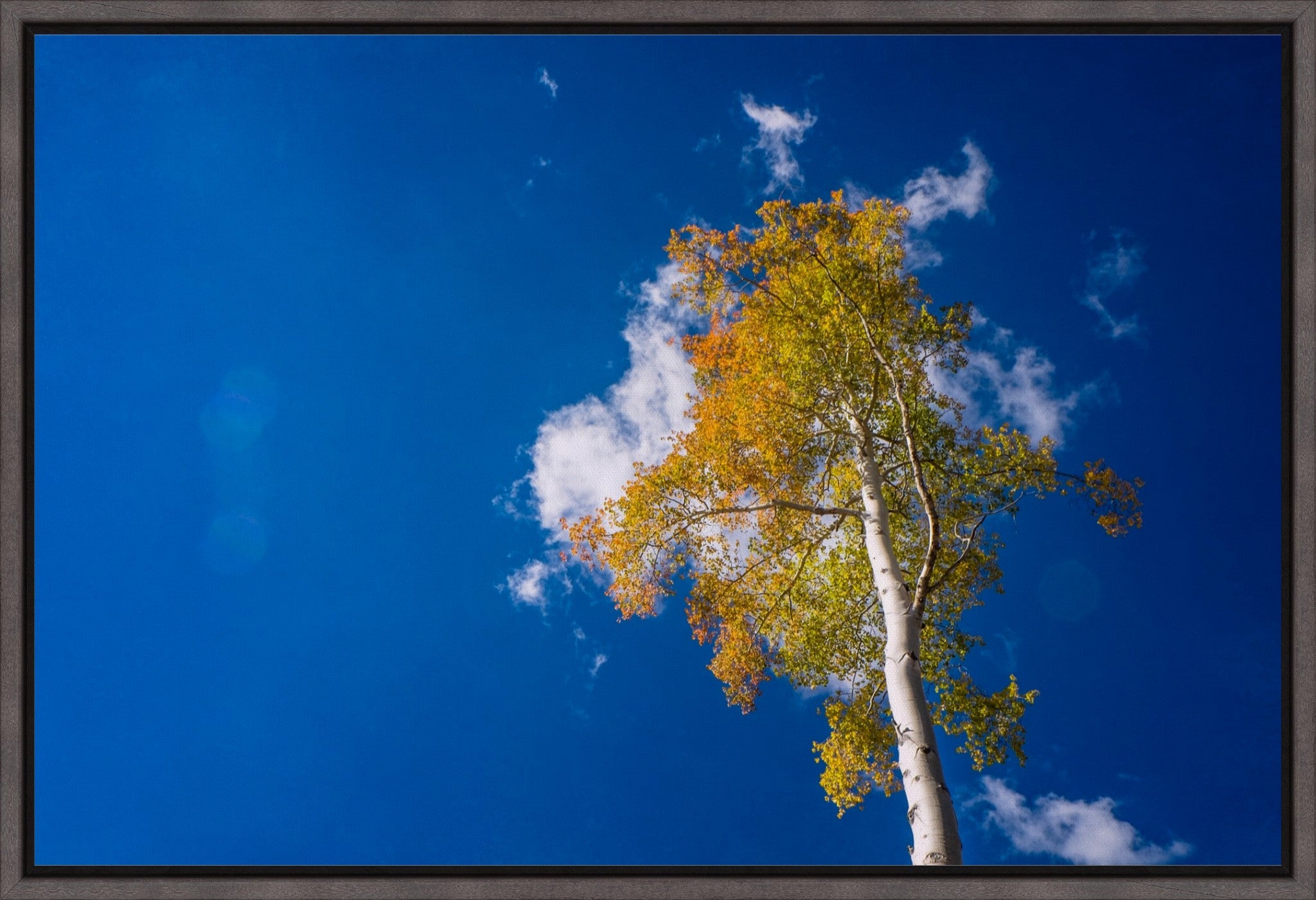 Aspen Cloud