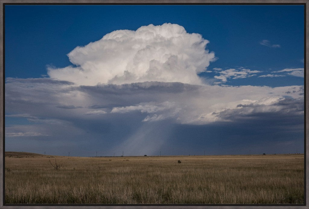 Rain on the South Plains