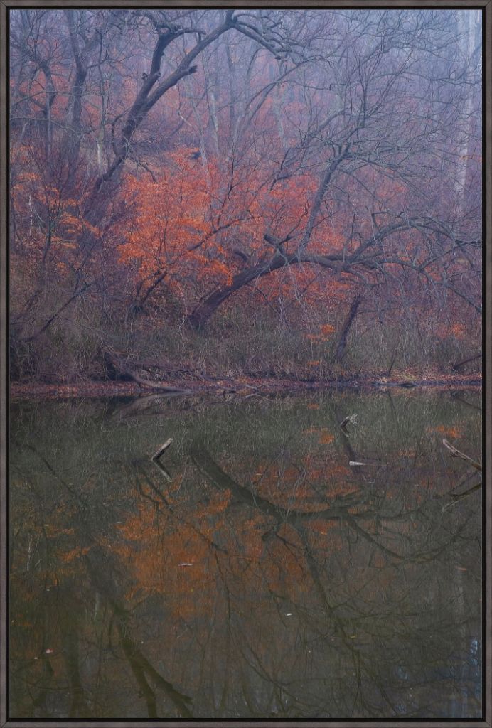 Winter Woodland and Lake Reflections