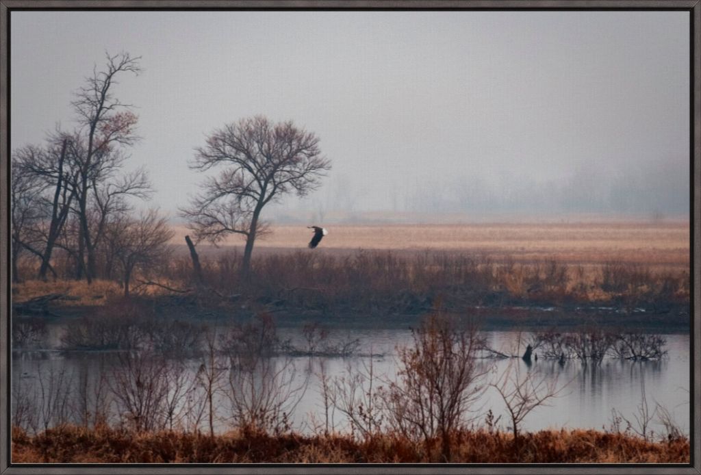 Nebraska Wetlands