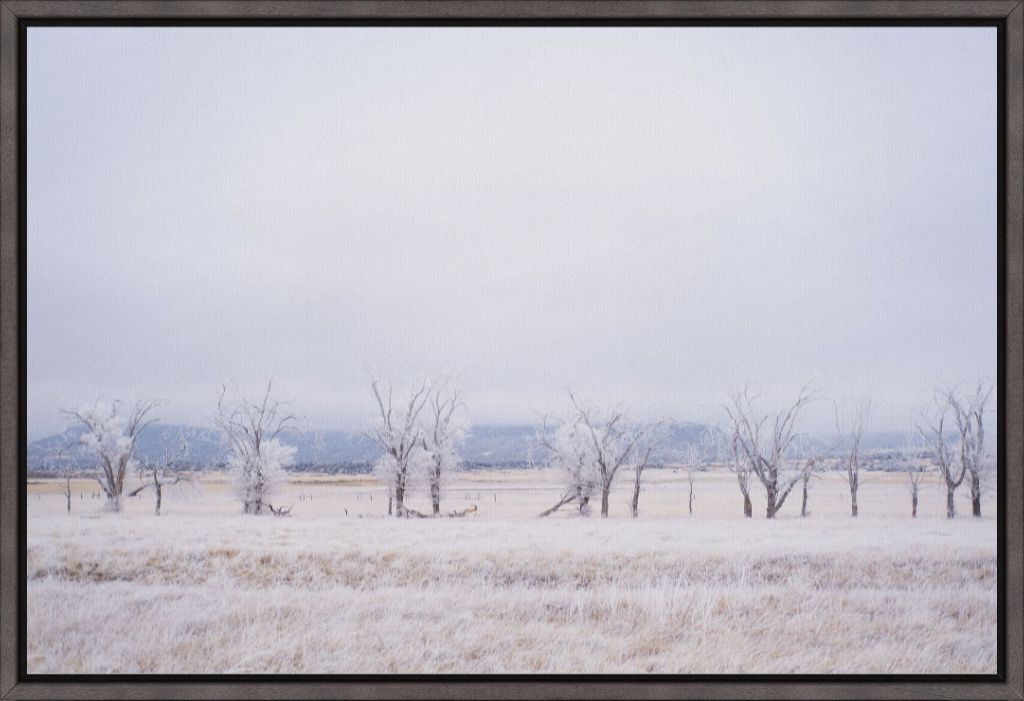 Frozen Enchantment III