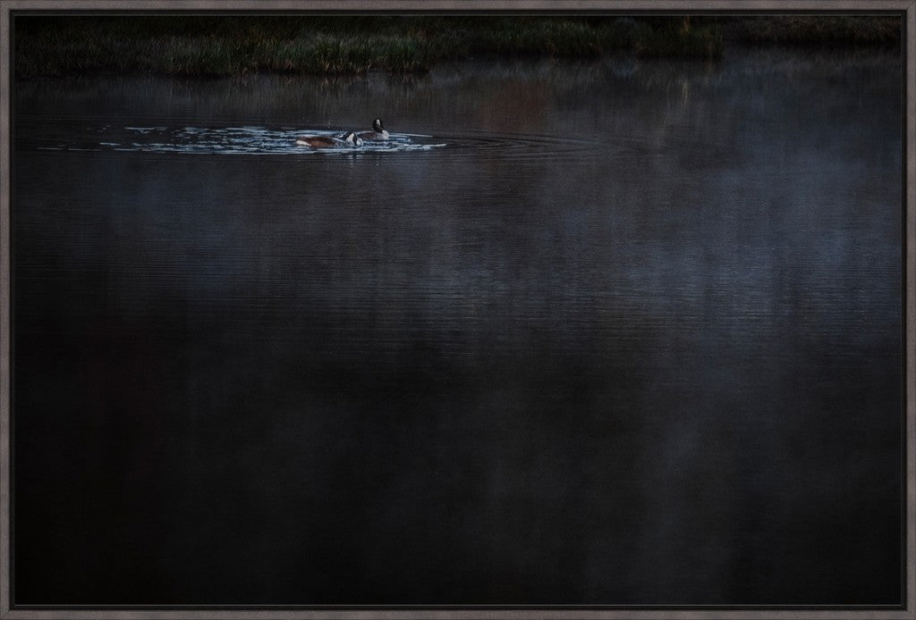 Geese on the Pond