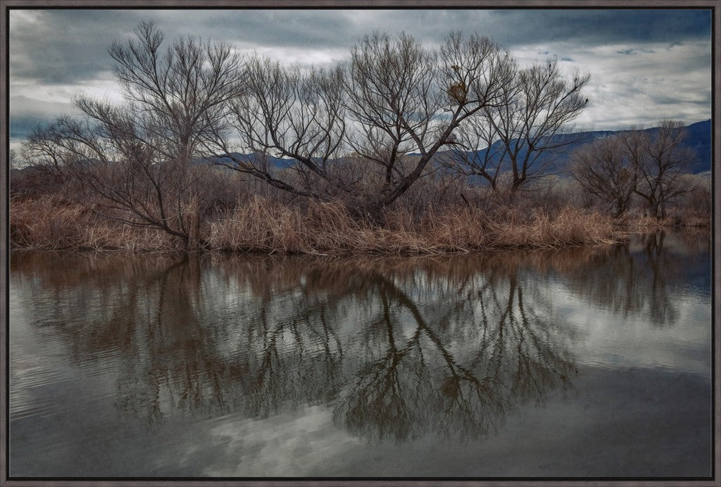 Dead Horse Reflections