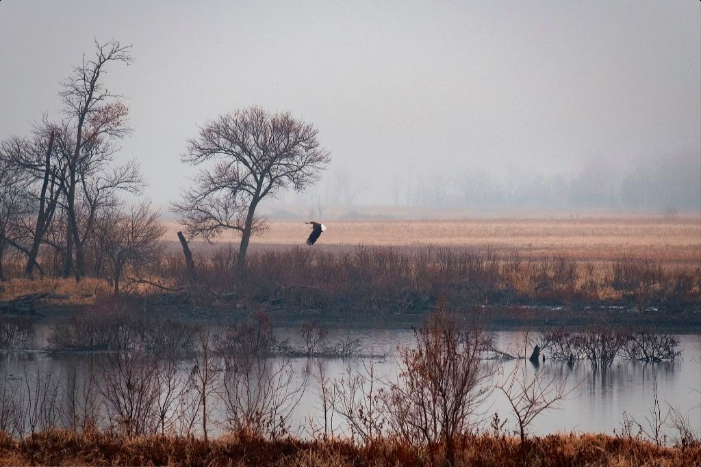 Nebraska Wetlands