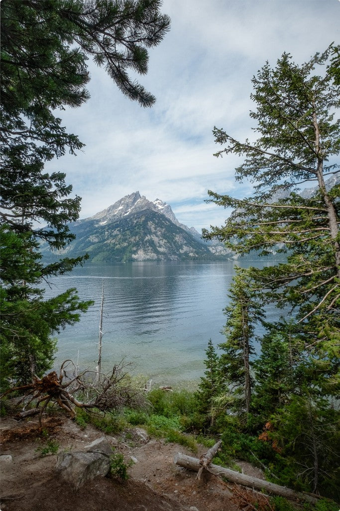 Montana Mountain View