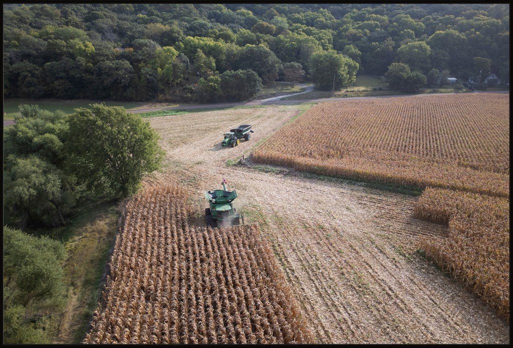 Aerial Corn Harvest III