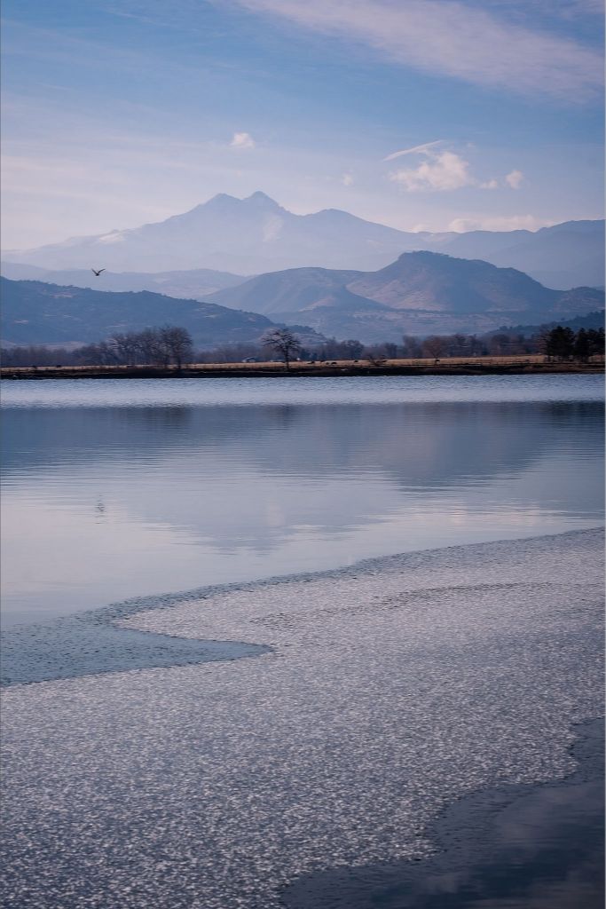 Longs Peak and Bird in Flight